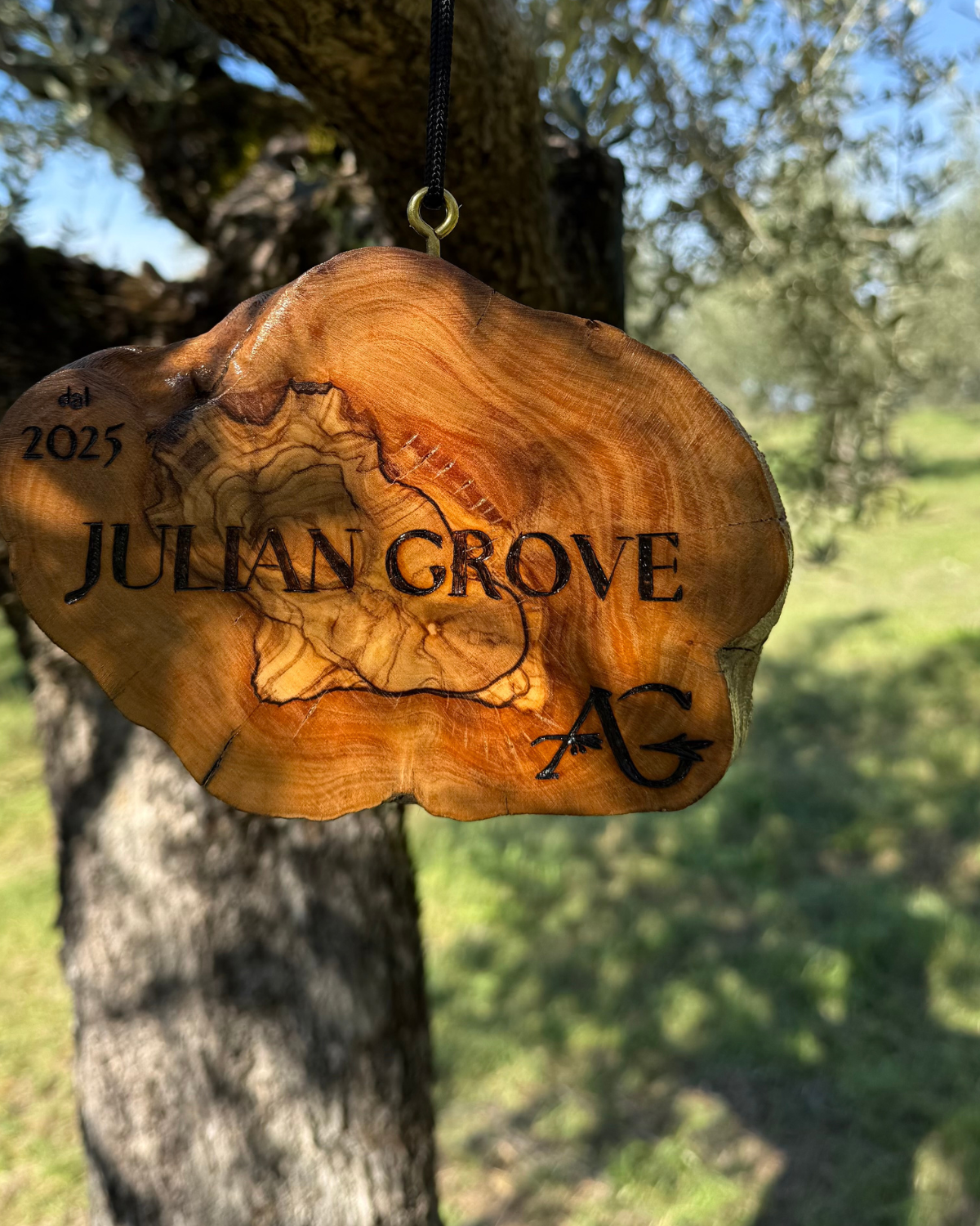 Gift a Rescued Olive Tree - Abandoned Grove